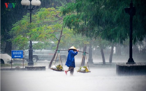 Dreamy and romantic Hue in rainy days - ảnh 12